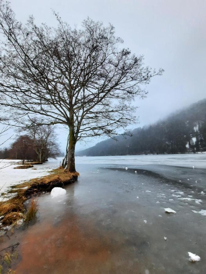 Au Coeur Des Lacs - Chambres D'Hotes Gerardmer Bagian luar foto