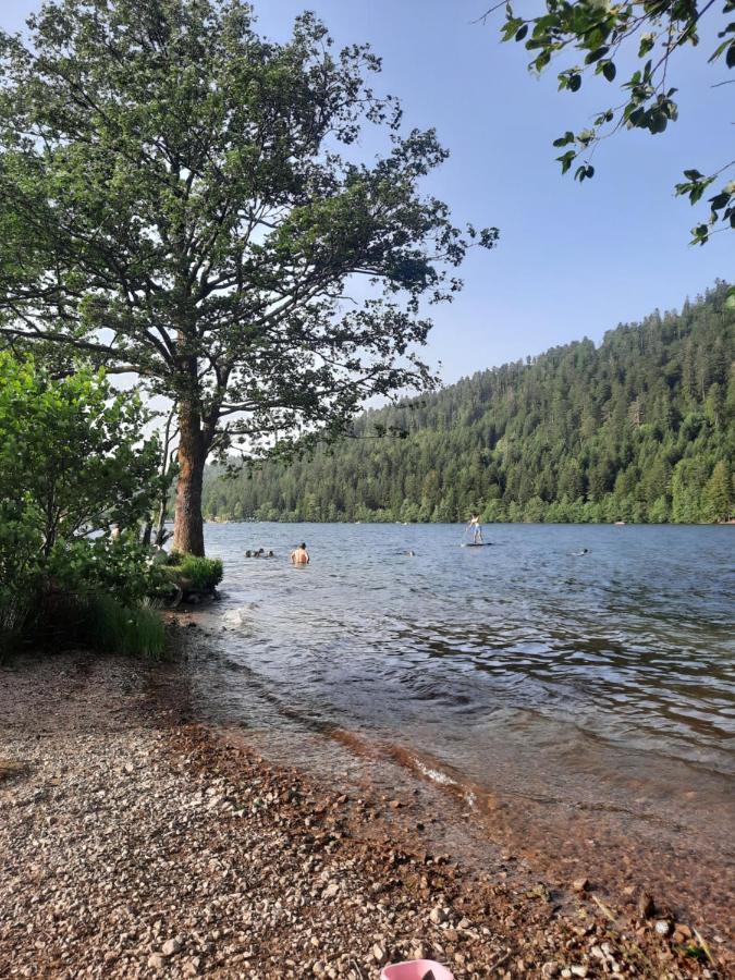 Au Coeur Des Lacs - Chambres D'Hotes Gerardmer Bagian luar foto